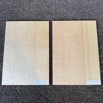 スプルース楽器材 ギター トップ用 スプルース 長さ300mm×厚み5mm×巾210mm